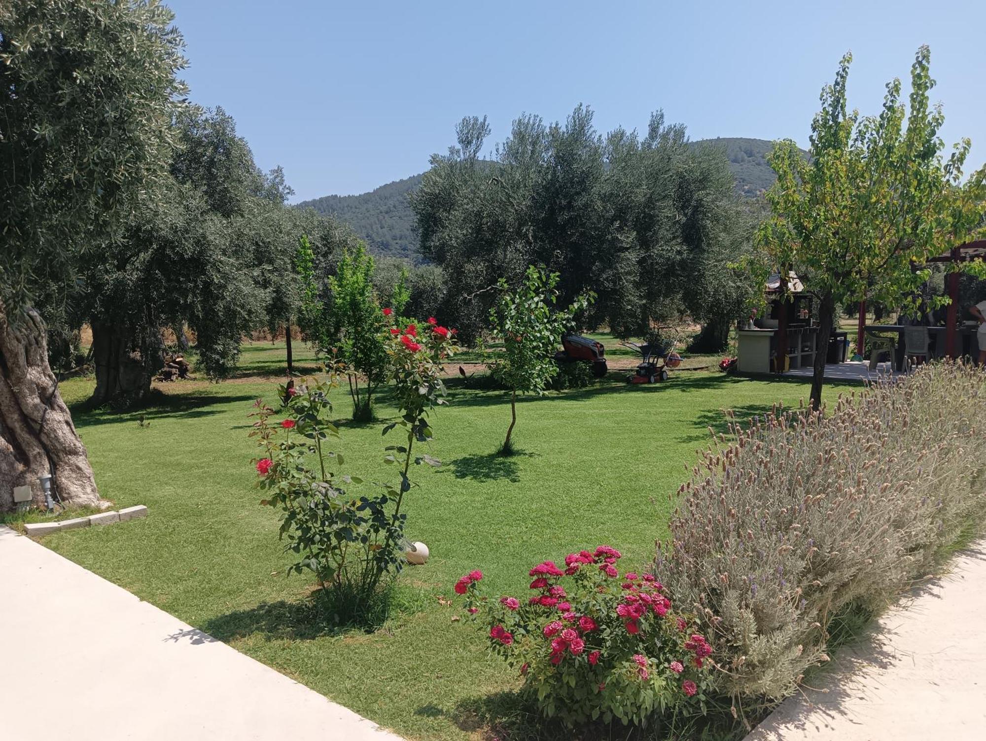Anatoli Studios Σκάλα Ραχωνίου Εξωτερικό φωτογραφία